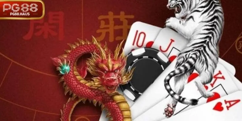 Sai lầm cược theo cảm xúc khi chơi Dragon Tiger