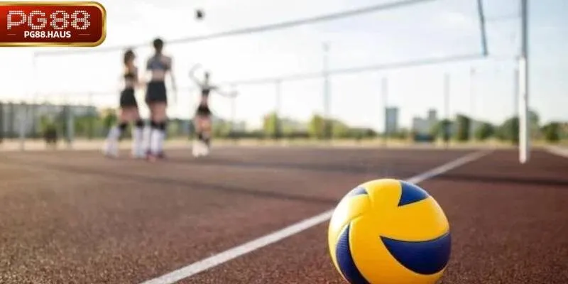 Hướng dẫn chơi bóng chuyền cá cược chi tiết tại PG88