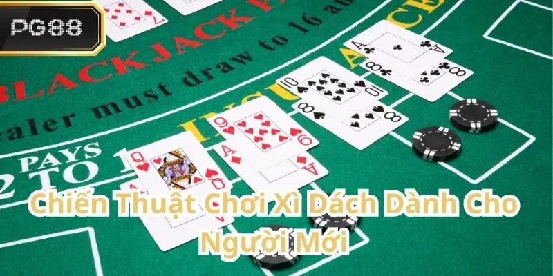 Chiến Lược Chơi Xì Dách Hiệu Quả Cho Người Mới Bắt Đầu