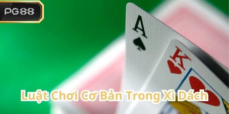 Những Quy Tắc Cơ Bản Khi Chơi Xì Dách