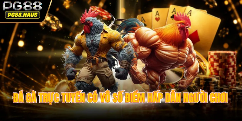 Đá gà trực tuyến có vô số điểm hấp dẫn người chơi