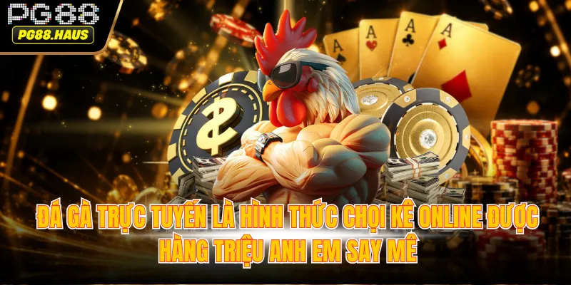 Đá gà trực tuyến là hình thức chọi kê online được hàng triệu anh em say mê