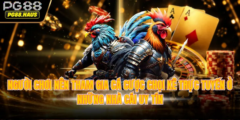 Người chơi nên tham gia cá cược chọi kê trực tuyến ở những nhà cái uy tín