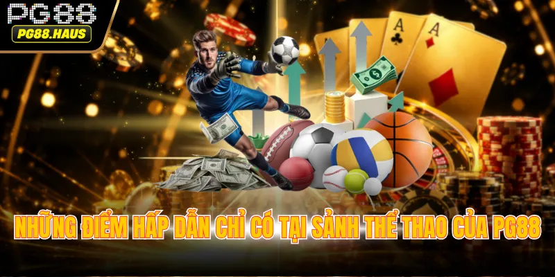 Những điểm hấp dẫn chỉ có tại sảnh thể thao