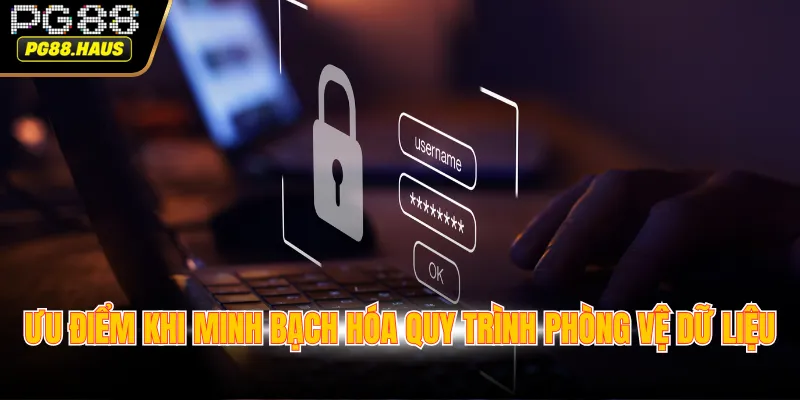 uu diem khi minh bach hoa quy trinh phong ve du lieu Ưu điểm khi minh bạch hóa quy trình phòng vệ dữ liệu